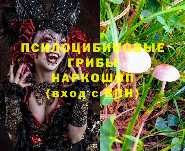скорость Зеленокумск