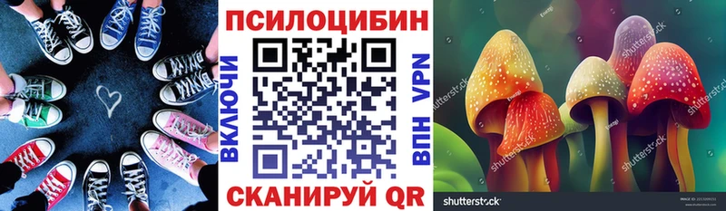 закладки  Щёлково  Псилоцибиновые грибы MAGIC MUSHROOMS 